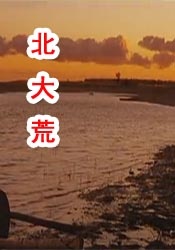 精品a视频