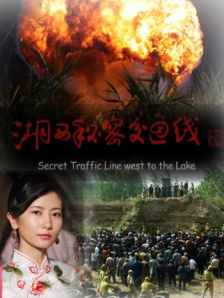 亚洲国产日韩在线观频